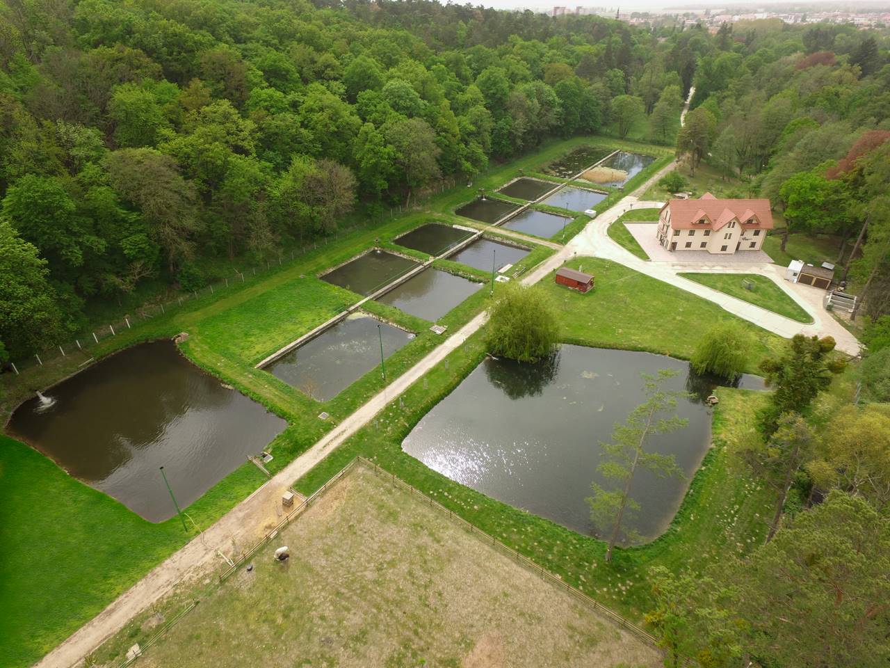 Rybárstvo Stupava