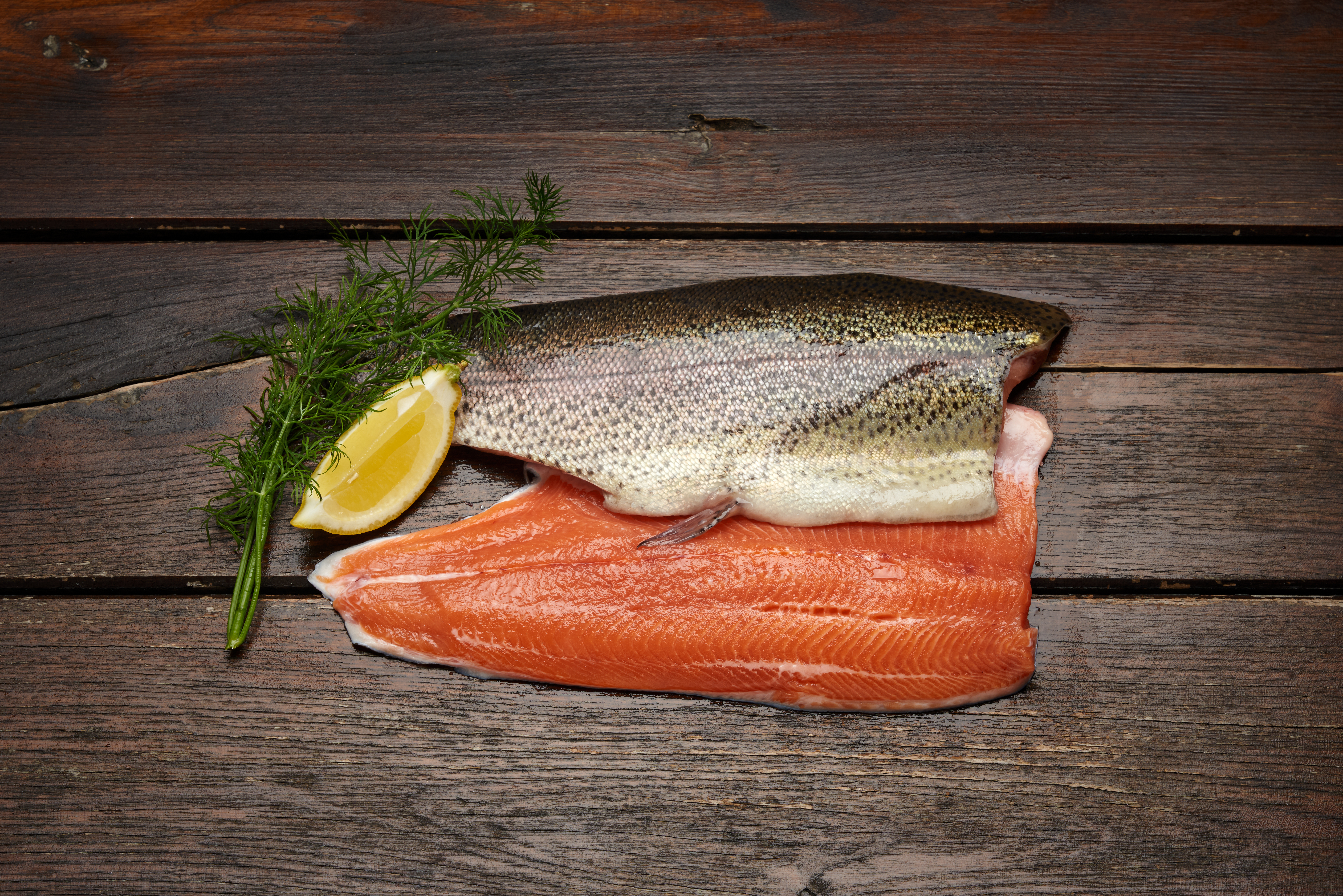 PSTRUH DÚHOVÝ LOSOSOVITÝ