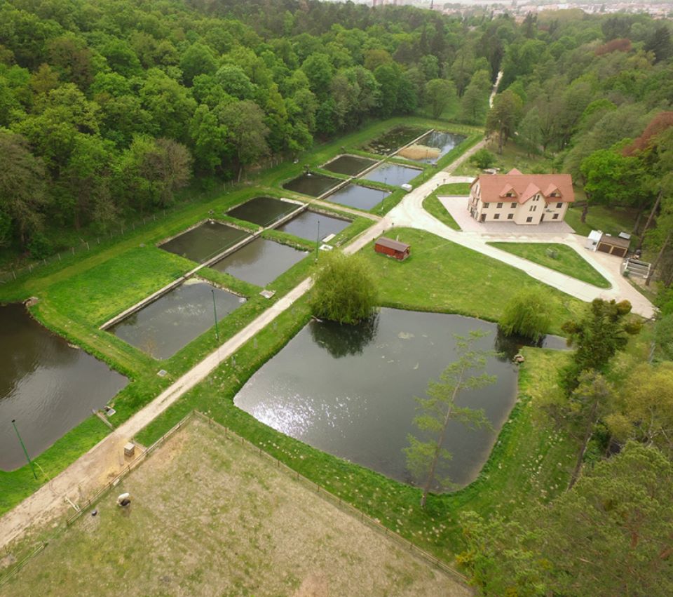 Rybárstvo Stupava